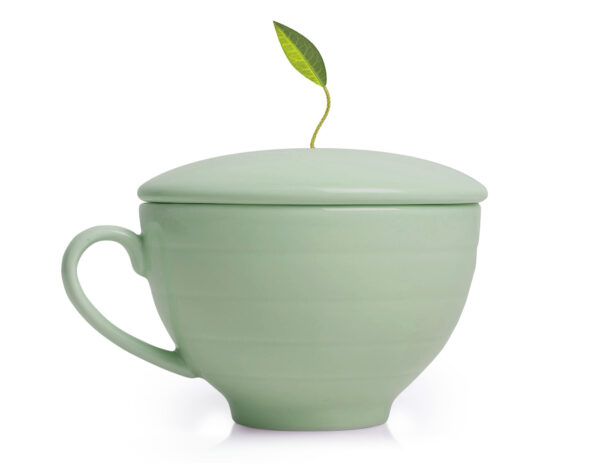 Fleur Tea Cup W/Lid